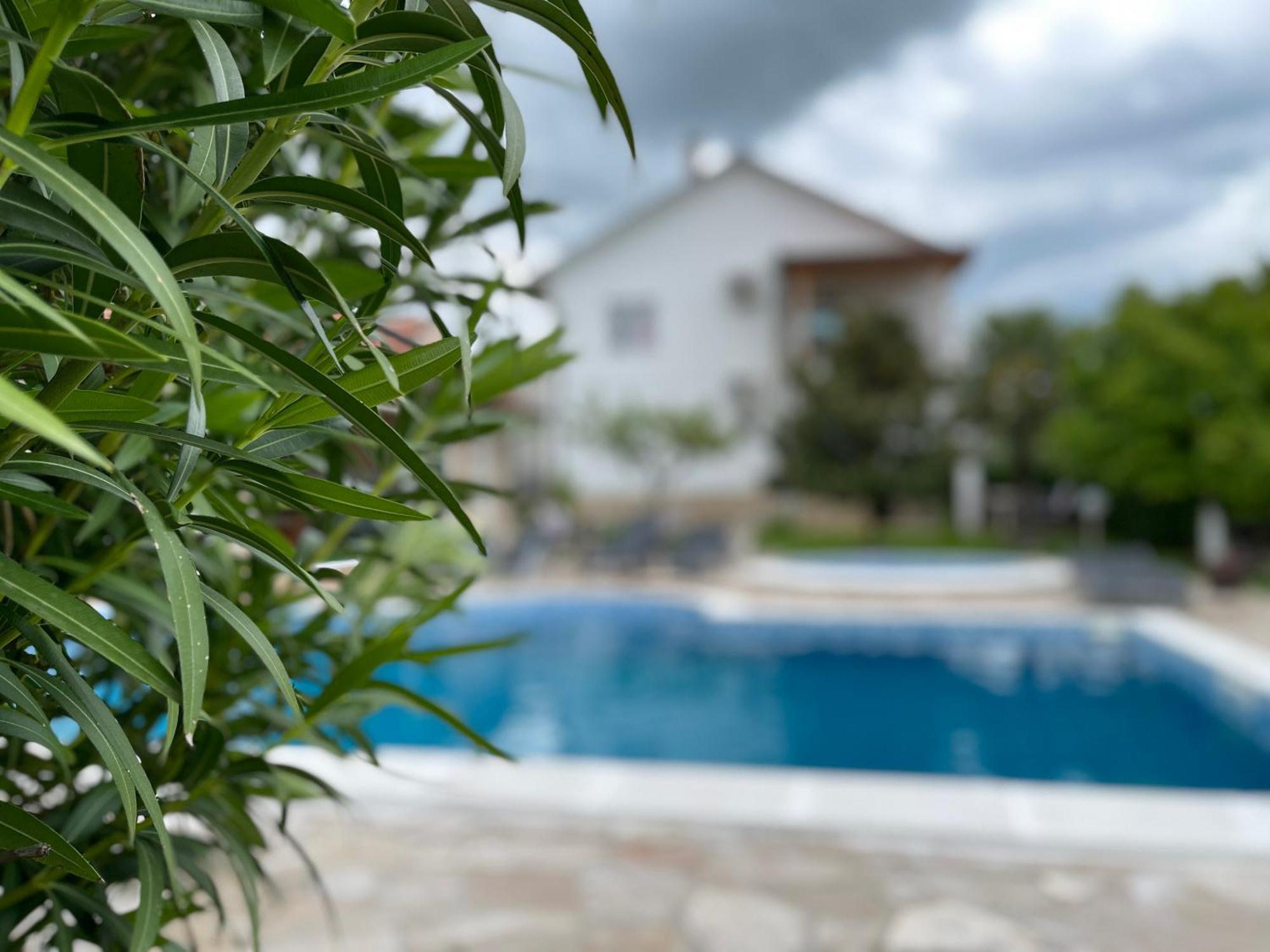 Sunny Apartment With Swimming Pool Stolac Exterior photo